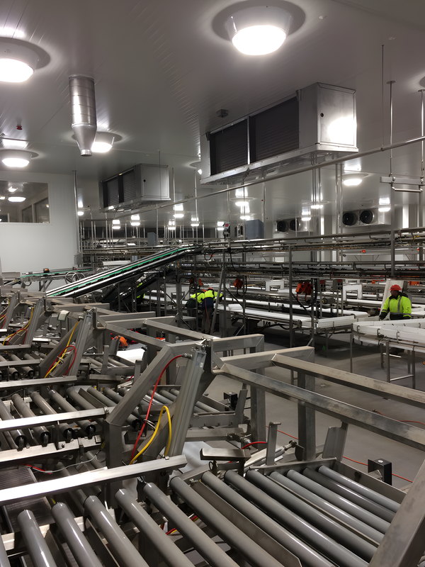 Conveyor and piping installation